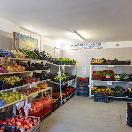 Bio Fattoria Mula D'oro - Biofattoriamuladoro It - Organic Food, Nature & Relax Lägenhet Mulazzano