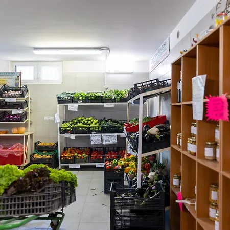 Bio Fattoria Mula D'oro - Biofattoriamuladoro It - Organic Food, Nature & Relax Lägenhet