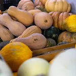 Bio Fattoria Mula D'oro - Biofattoriamuladoro It - Organic Food, Nature & Relax