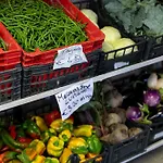Apartman Bio Fattoria Mula D'oro - Biofattoriamuladoro It - Organic Food, Nature & Relax Mulazzano