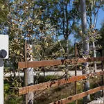 Bio Fattoria Mula D'oro - Biofattoriamuladoro It - Organic Food, Nature & Relax