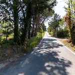 Bio Fattoria Mula D'oro - Biofattoriamuladoro It - Organic Food, Nature & Relax Apartman