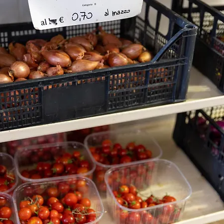 Bio Fattoria Mula D'oro - Biofattoriamuladoro It - Organic Food, Nature & Relax アパート *