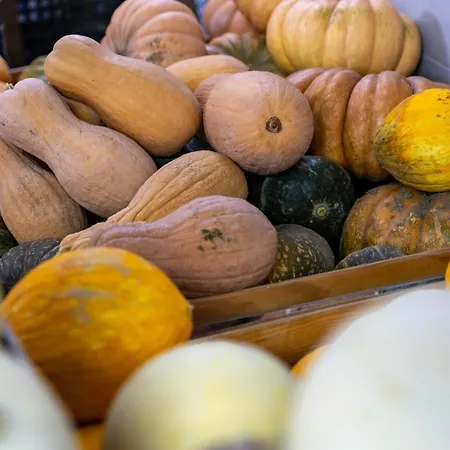 Bio Fattoria Mula D'oro - Biofattoriamuladoro It - Organic Food, Nature & Relax