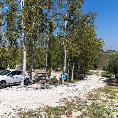 Bio Fattoria Mula D'oro - Biofattoriamuladoro It - Organic Food, Nature & Relax *