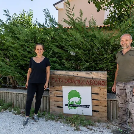 Bio Fattoria Mula D'oro - Biofattoriamuladoro It - Organic Food, Nature & Relax Lejlighed *