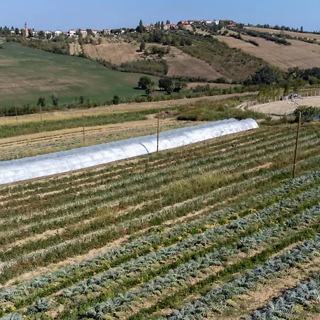 アパート Bio Fattoria Mula D'oro - Biofattoriamuladoro It - Organic Food, Nature & Relax