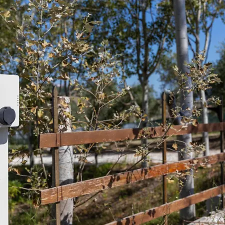 Bio Fattoria Mula D'oro - Biofattoriamuladoro It - Organic Food, Nature & Relax