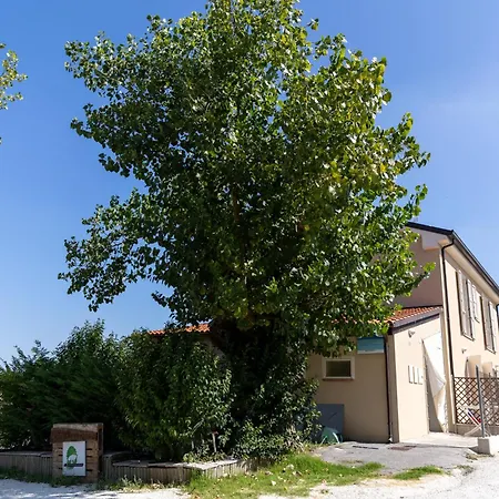 Bio Fattoria Mula D'oro - Biofattoriamuladoro It - Organic Food, Nature & Relax Mulazzano