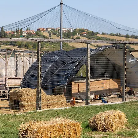 Bio Fattoria Mula D'oro - Biofattoriamuladoro It - Organic Food, Nature & Relax *