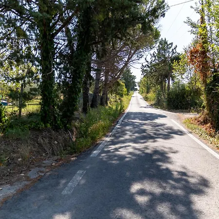 Bio Fattoria Mula D'oro - Biofattoriamuladoro It - Organic Food, Nature & Relax アパート