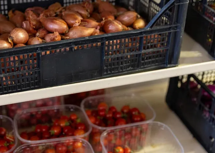 Bio Fattoria Mula D'oro - Biofattoriamuladoro It - Organic Food, Nature & Relax Daire *