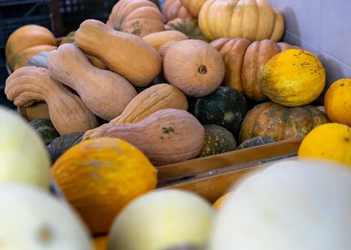 Bio Fattoria Mula D'oro - Biofattoriamuladoro It - Organic Food, Nature & Relax