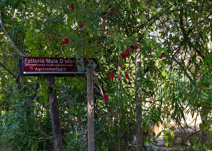 Bio Fattoria Mula D'oro - Biofattoriamuladoro It - Organic Food, Nature & Relax Daire *