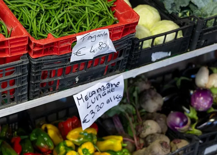 Daire Bio Fattoria Mula D'oro - Biofattoriamuladoro It - Organic Food, Nature & Relax Mulazzano