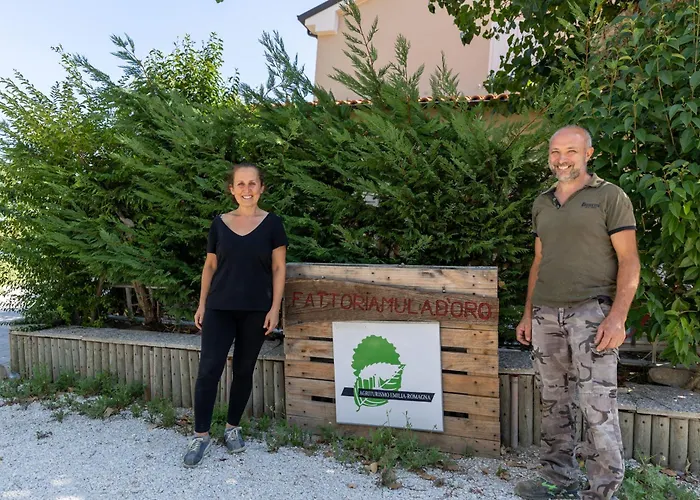 Bio Fattoria Mula D'oro - Biofattoriamuladoro It - Organic Food, Nature & Relax 아파트 *