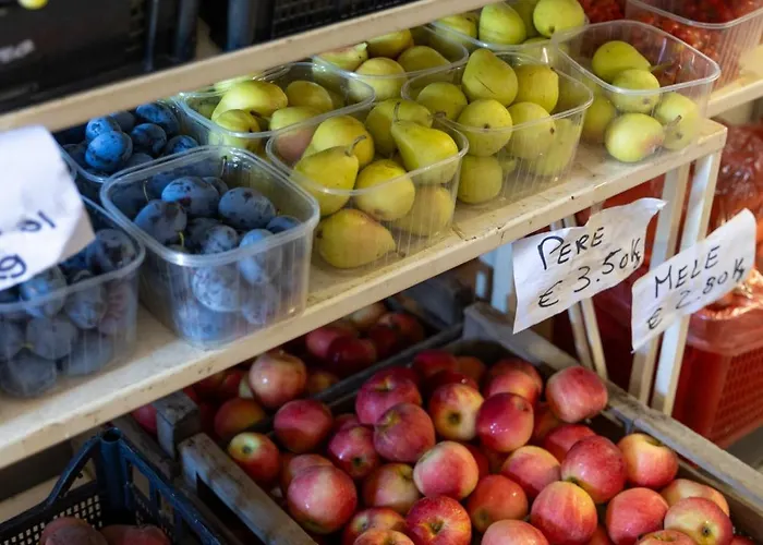 Daire Bio Fattoria Mula D'oro - Biofattoriamuladoro It - Organic Food, Nature & Relax