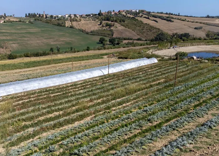 아파트 Bio Fattoria Mula D'oro - Biofattoriamuladoro It - Organic Food, Nature & Relax