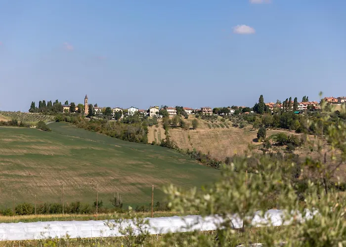 Bio Fattoria Mula D'oro - Biofattoriamuladoro It - Organic Food, Nature & Relax 아파트 Mulazzano