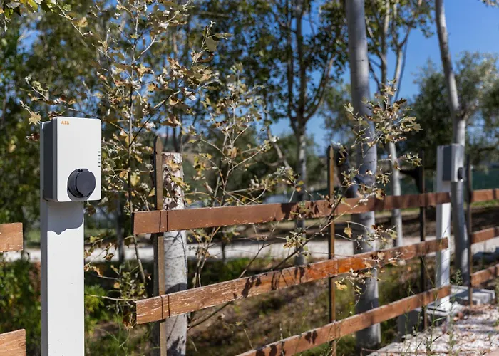 Bio Fattoria Mula D'oro - Biofattoriamuladoro It - Organic Food, Nature & Relax