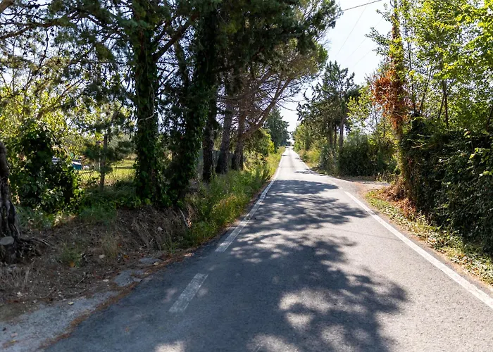 Bio Fattoria Mula D'oro - Biofattoriamuladoro It - Organic Food, Nature & Relax 아파트